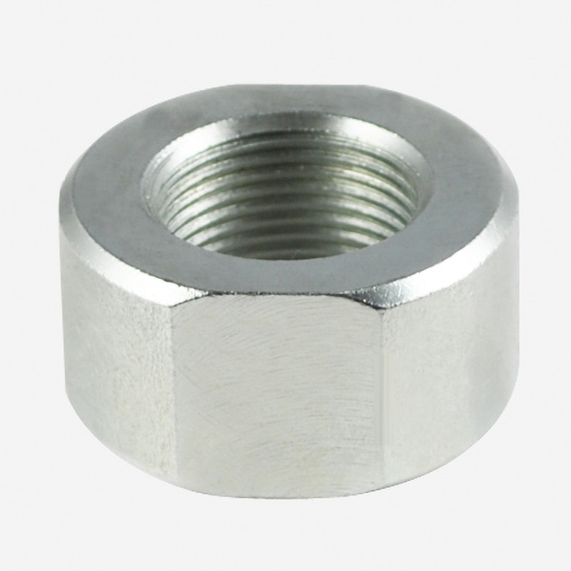 Porca-002